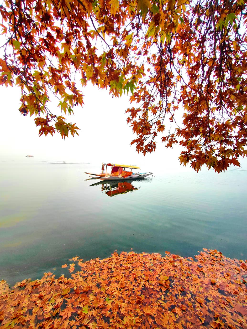 Discover Kashmir